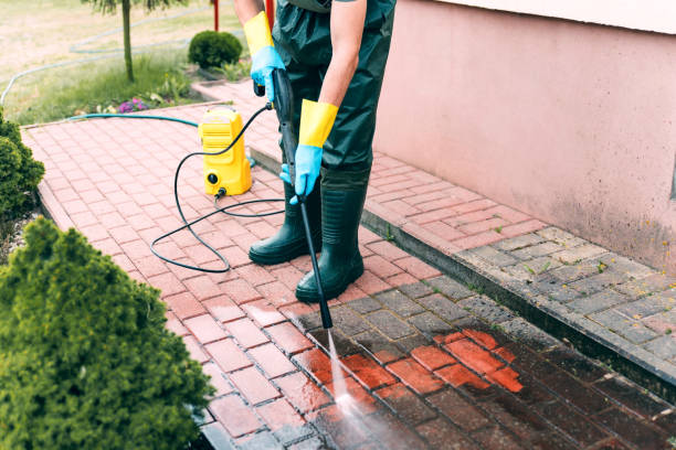 Best Commercial Building Pressure Washing  in Colchester, IL