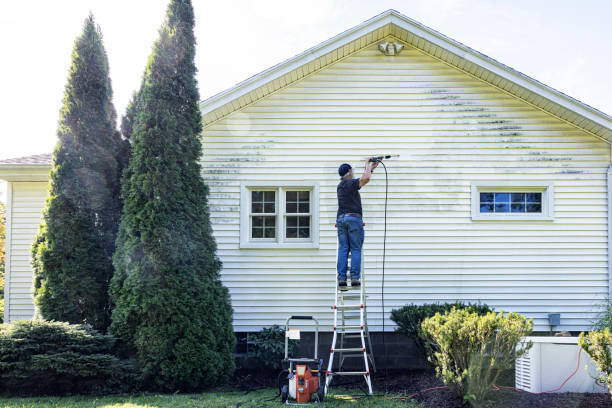 Best Exterior Home Cleaning  in Colchester, IL
