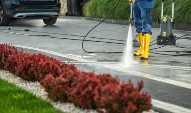 Best Roof Power Washing Services  in Colchester, IL